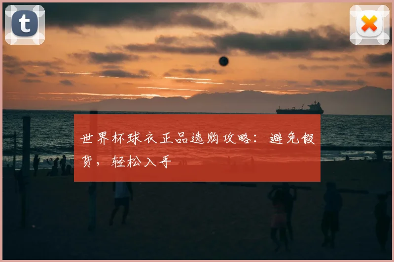 世界杯球衣正品选购攻略：避免假货，轻松入手